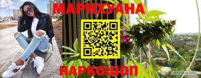 сатива Краснодар