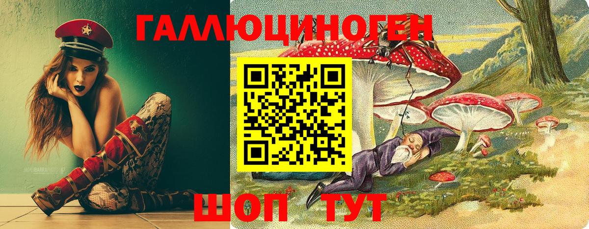 Кольчугино  Псилоцибиновые грибы мицелий  как найти закладки  Вход с VPN 